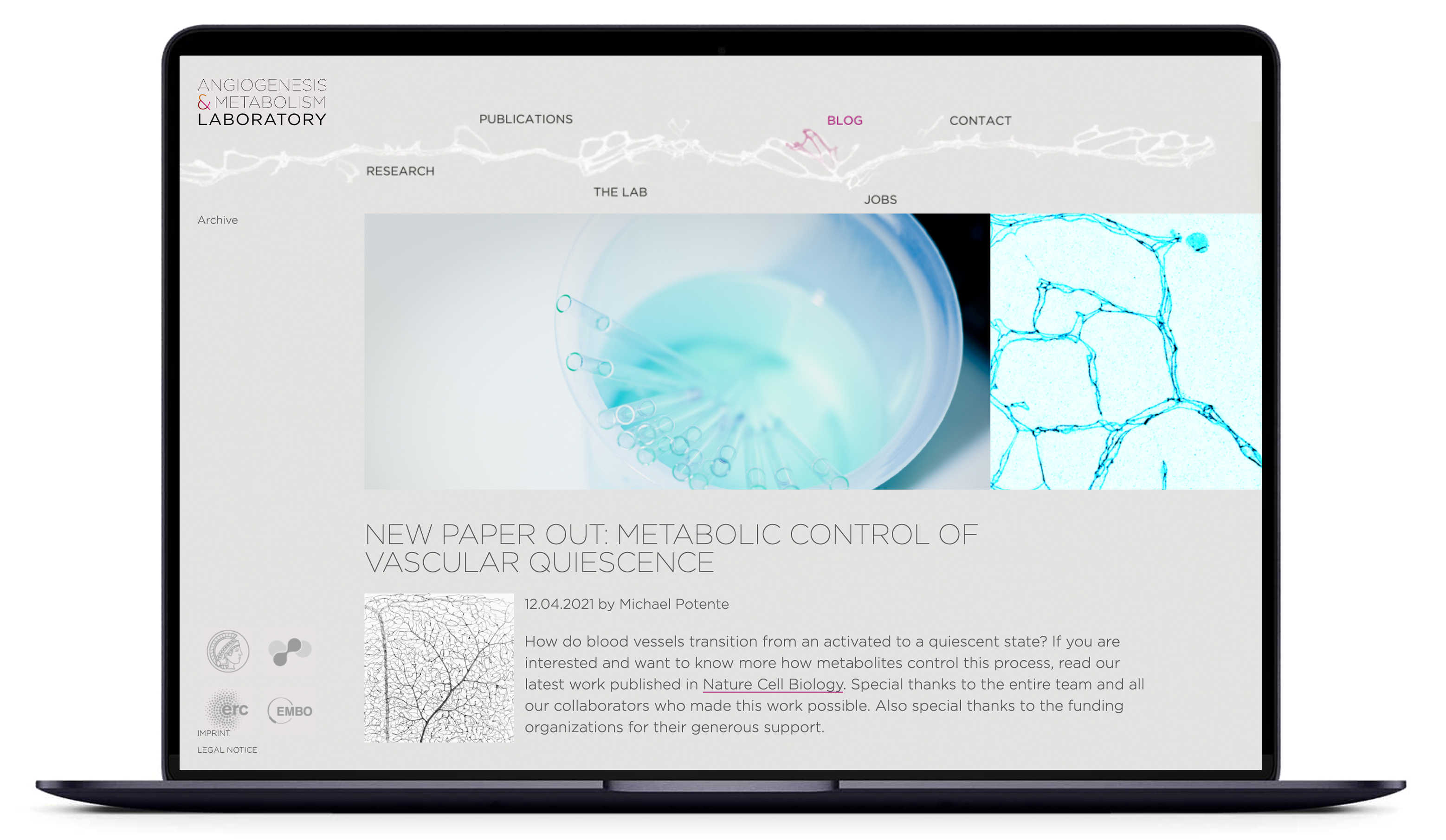 Angiogenesis & Metabolism Laboratory, Corporate Design, Website