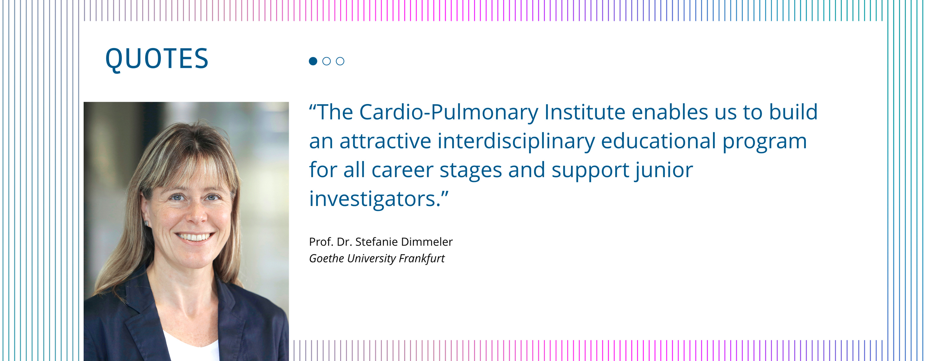 Cardio Pulmonary Institute Cardio Pulmonary Institute, Exzellenzcluster, Logo, Grafiken, Antrag, Animation, Website