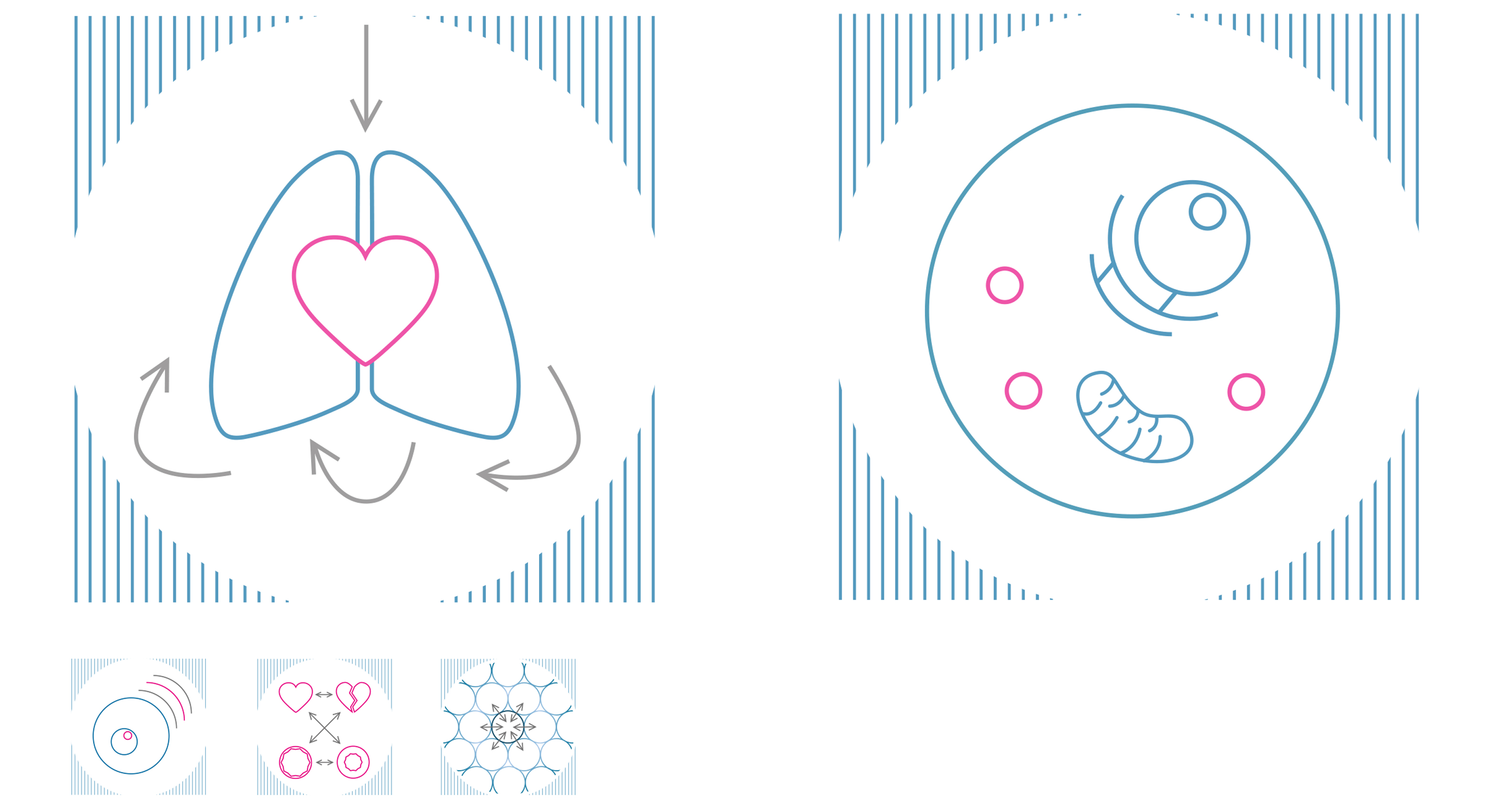 Cardio Pulmonary Institute, Logo, Grafiken, Antrag, Animation, Website