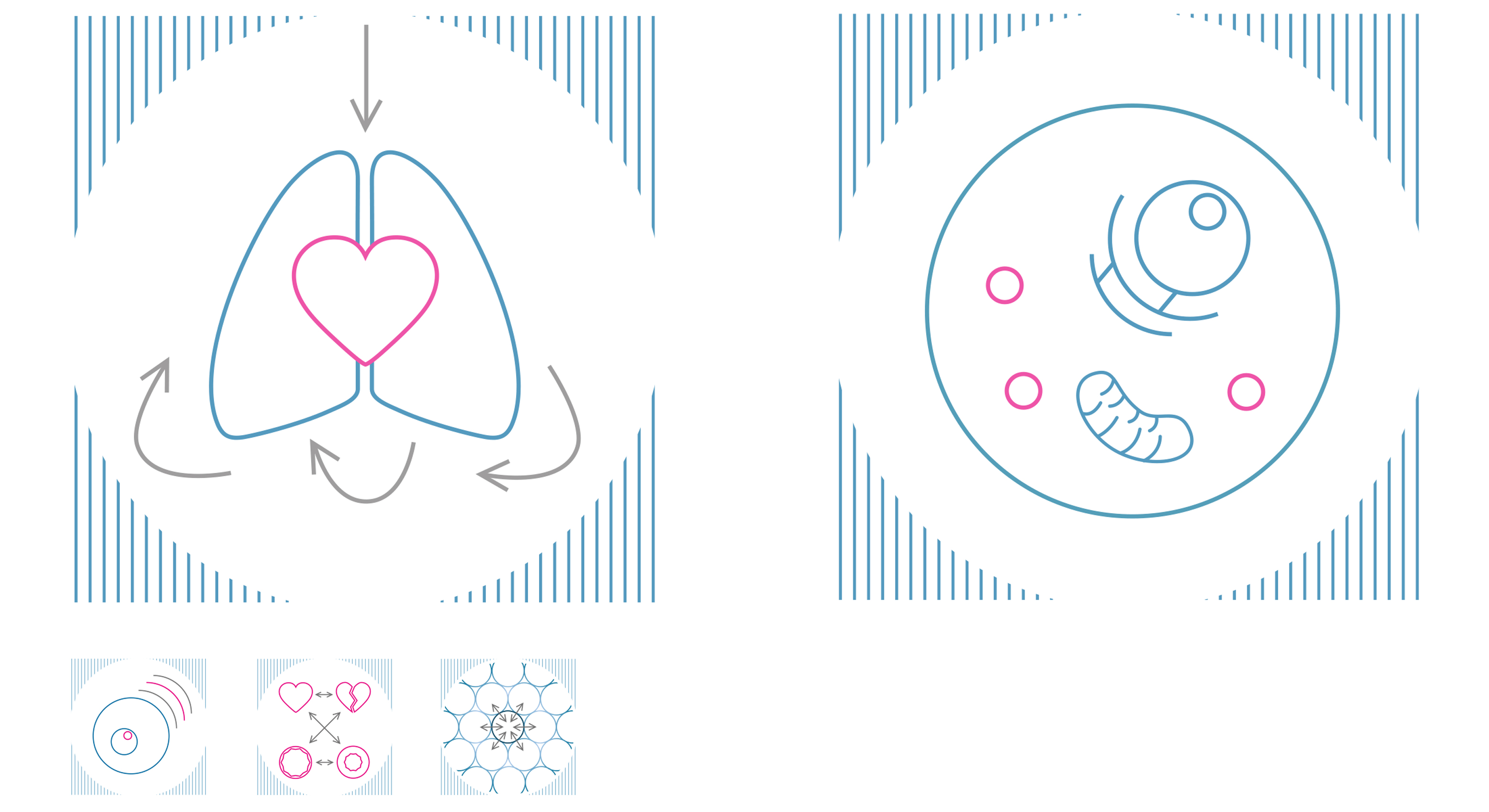 Cardio Pulmonary Institute, Piktogramme Cardio Pulmonary Institute, Logo, Grafiken, Antrag, Animation, Website