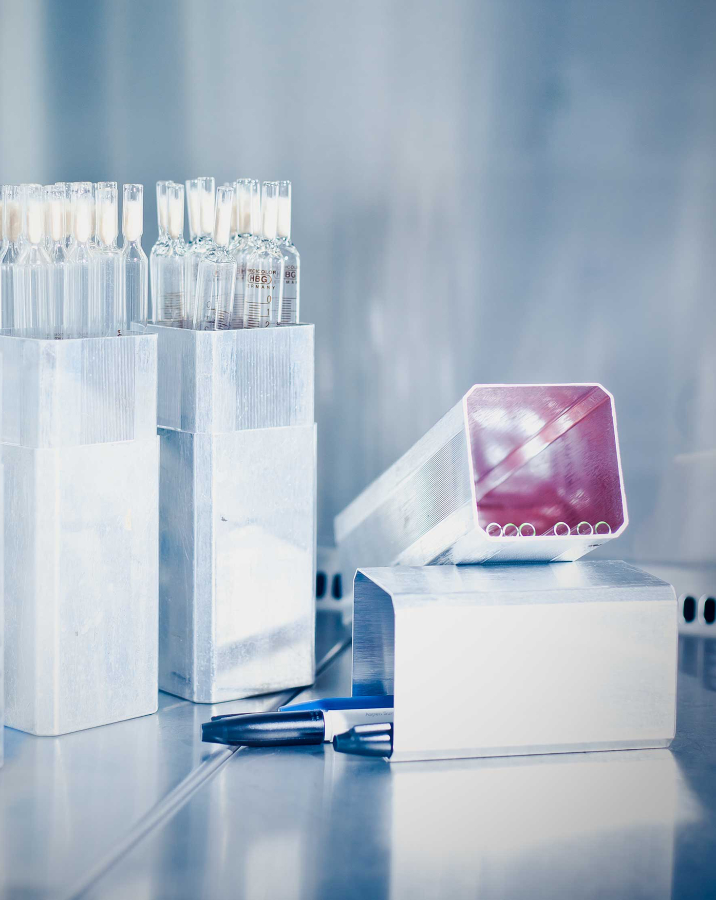 Angiogenesis & Metabolism Laboratory Angiogenesis & Metabolism Laboratory