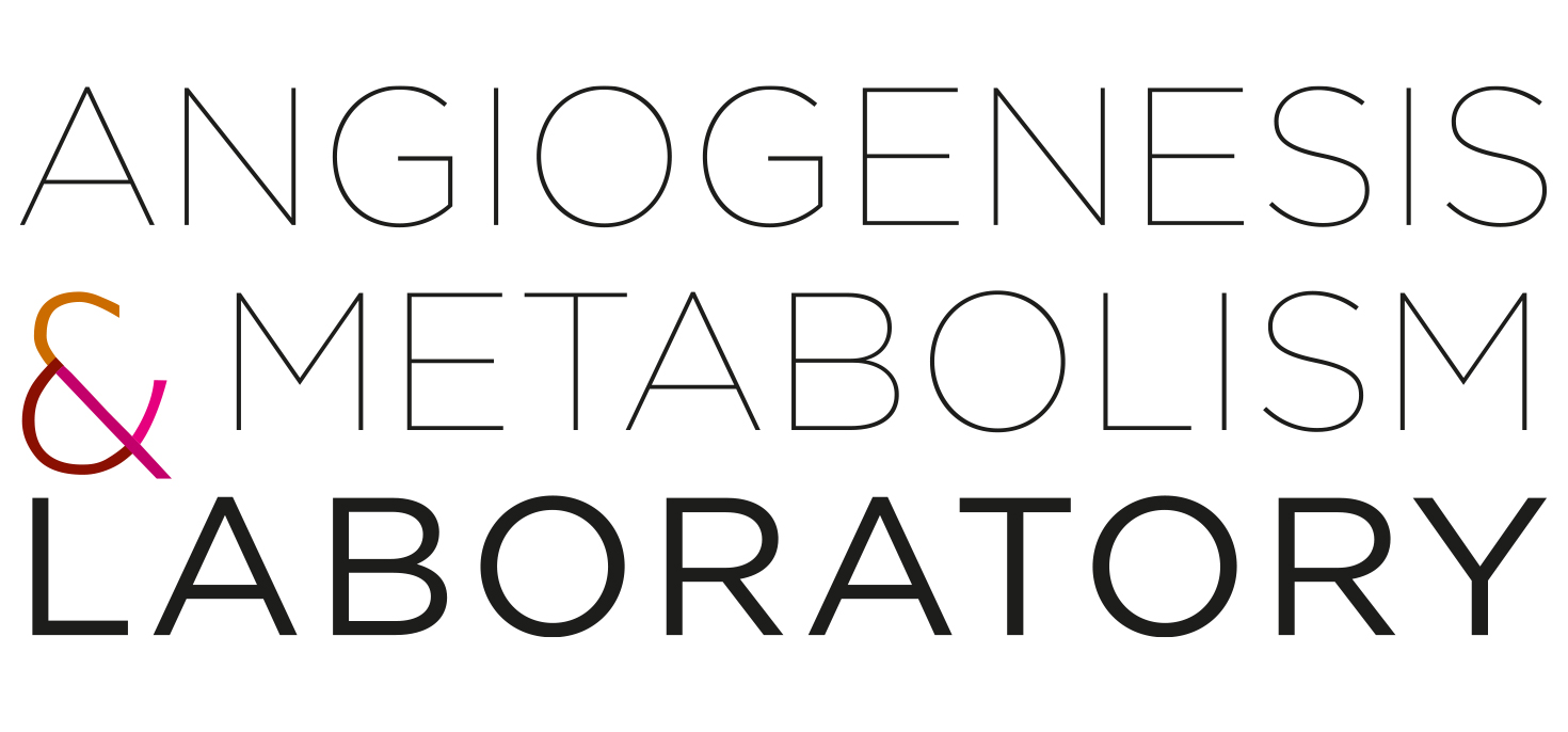 Angiogenesis & Metabolism Laboratory, Logo Angiogenesis & Metabolism Laboratory, Corporate Design, Website