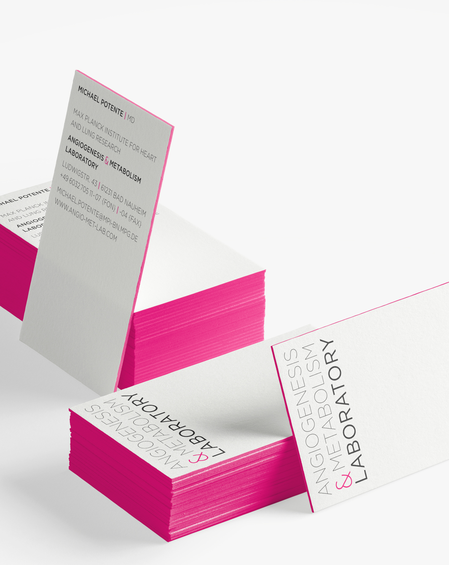 Angiogenesis & Metabolism Laboratory Angiogenesis & Metabolism Laboratory, Corporate Design